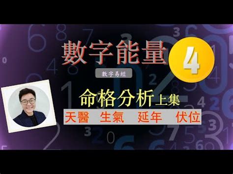 天醫延年|【天醫 延年 生氣】解鎖你的數字運勢：天醫、延年、生氣號碼全。